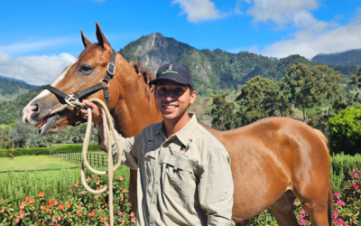 Jose Gutierrez & Equiscience : Enhancing horse training with data analysis