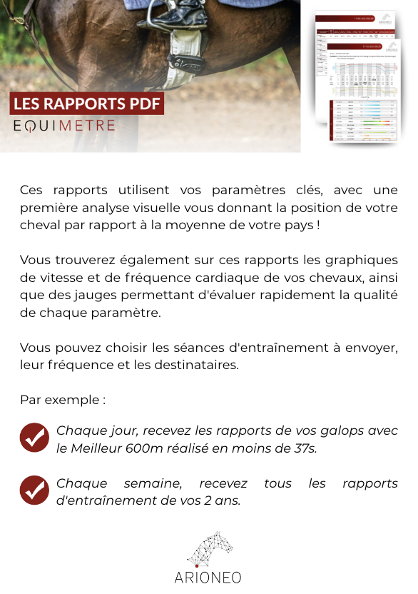 Rapport galop
