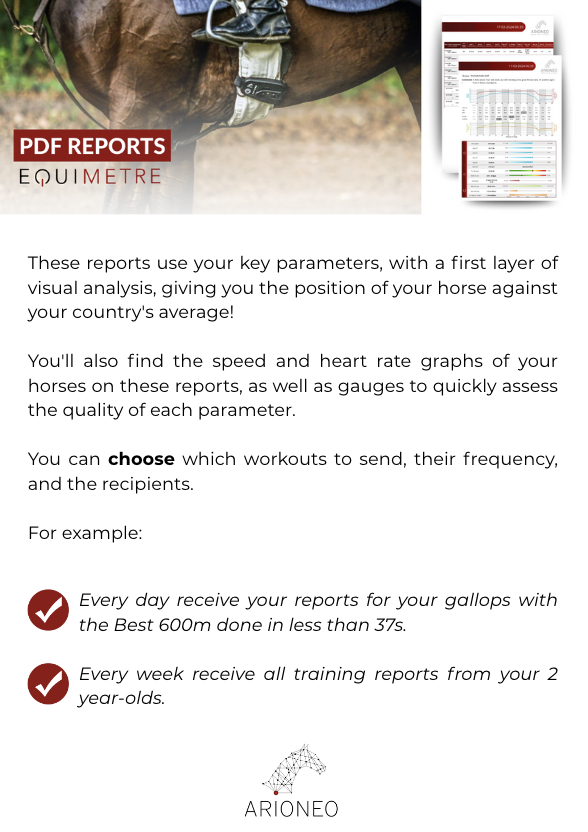 Report Equimetre flat