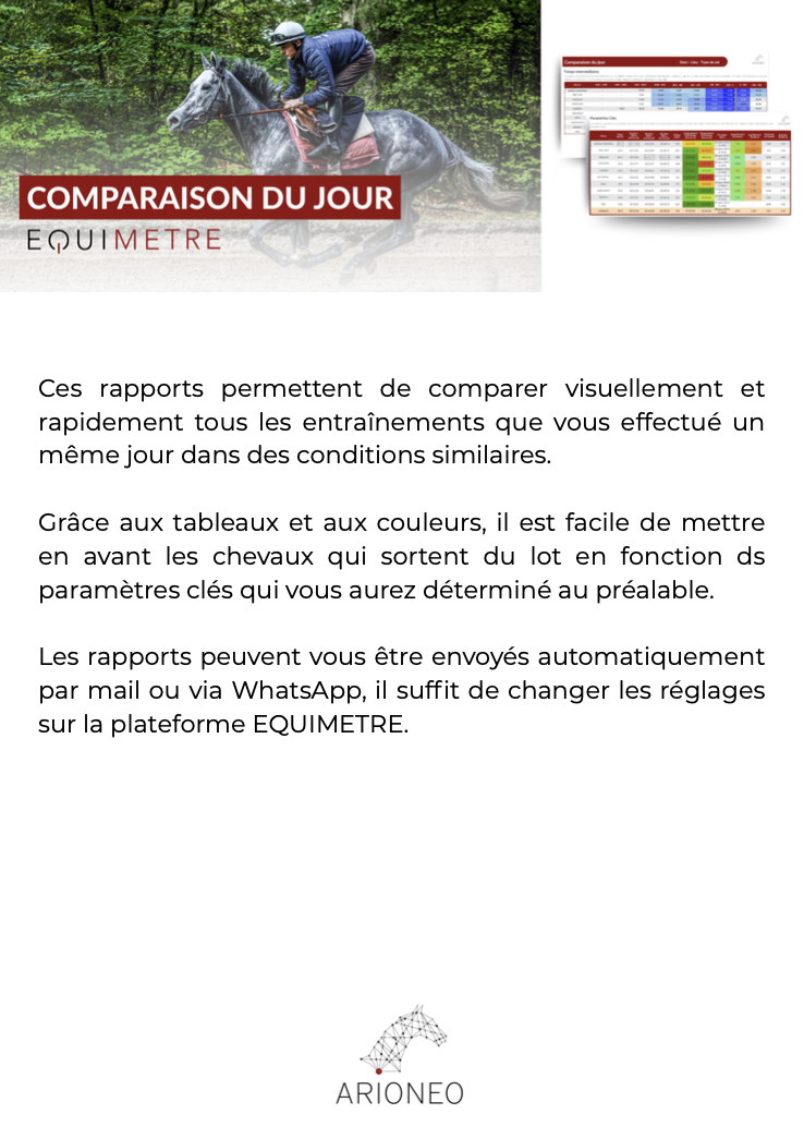Rapport galop