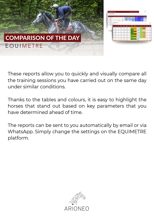 Report Equimetre flat