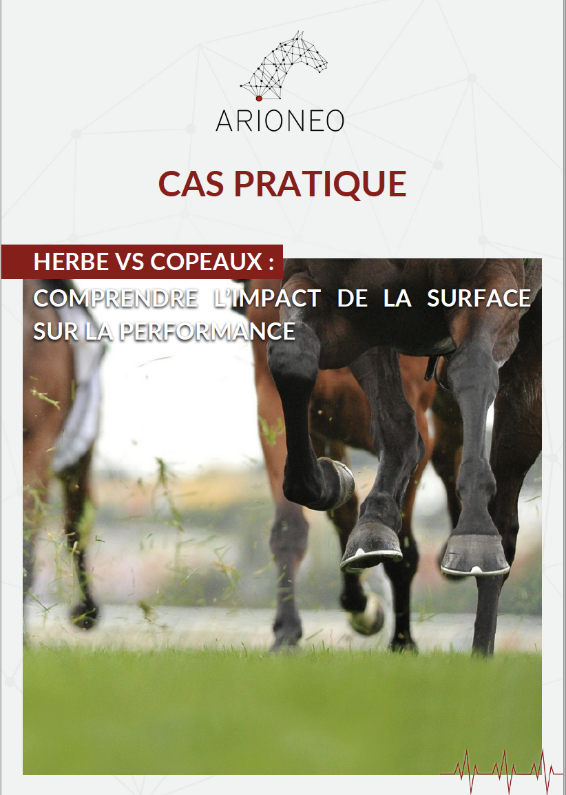 cas pratique - impact de la surface sur la performance cas pratique - impact de la surface sur la performance