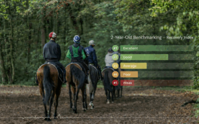 2 ans à l’entraînement : suivre leur évolution grâce aux données