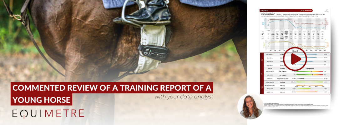 Commented review of a training report of a young horse Commented review of a training report of a young horse