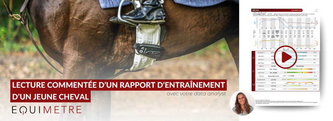 Lecture commenté d'un rapport d'entraînement d'un jeune cheval par notre CSM Charlotte