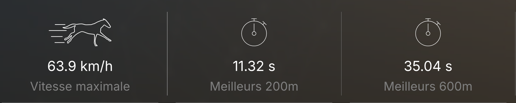 Paramètres de vitesse et meilleurs temps sur 200 et 600m