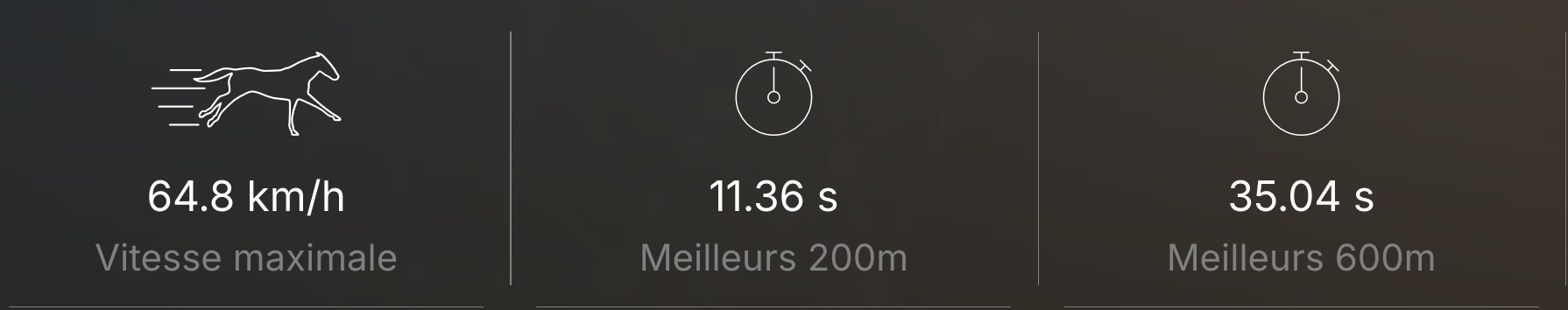 Paramètres de vitesse et meilleurs temps sur 200 et 600m