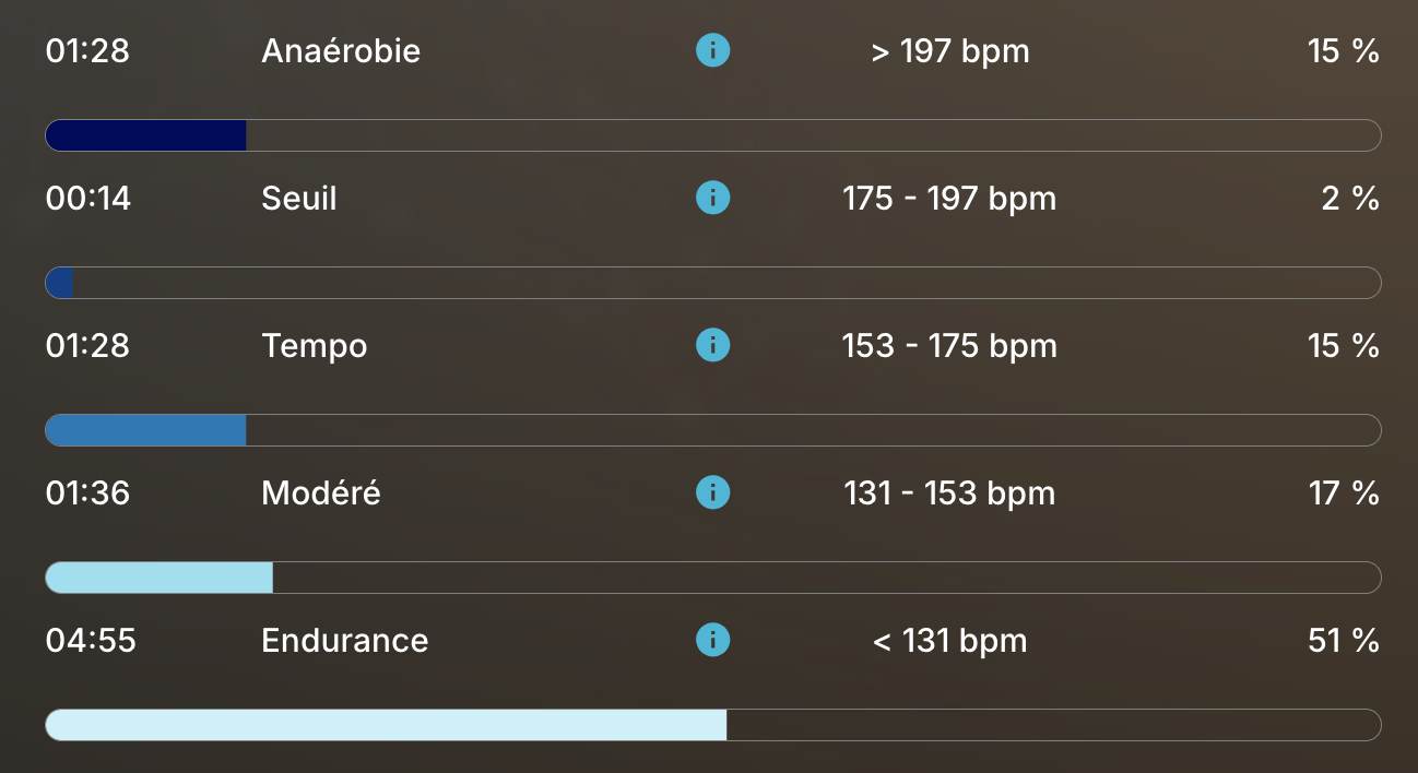 Zones d'effort de la pouliche après