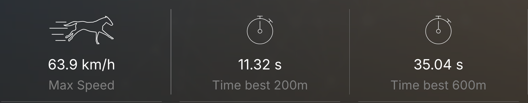 Key parameters (speed, best 200, 600m)