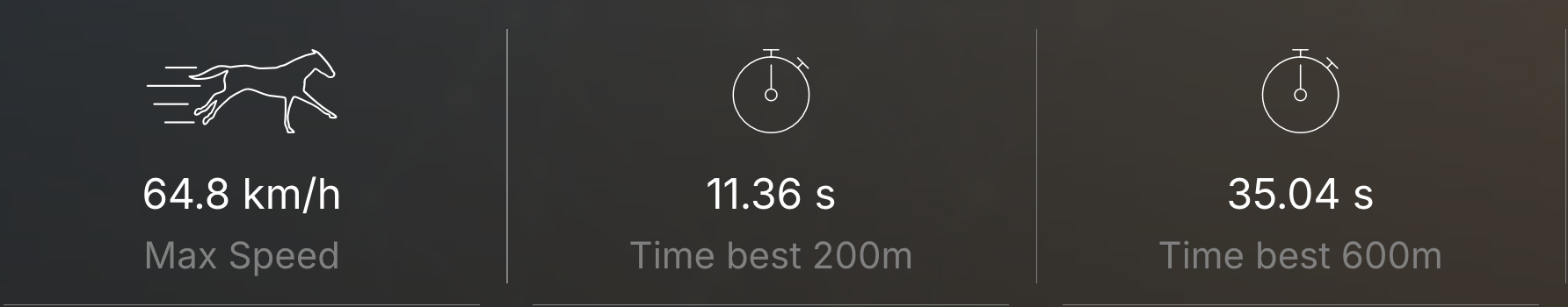 Key parameters (speed, best 200, 600m)