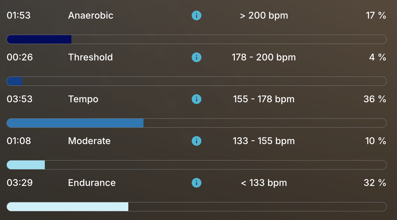 Effort zones of the filly before 