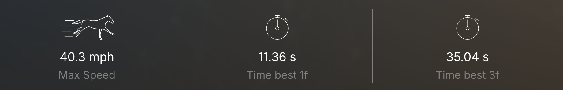 Key parameters (speed, best 1f, 3F)