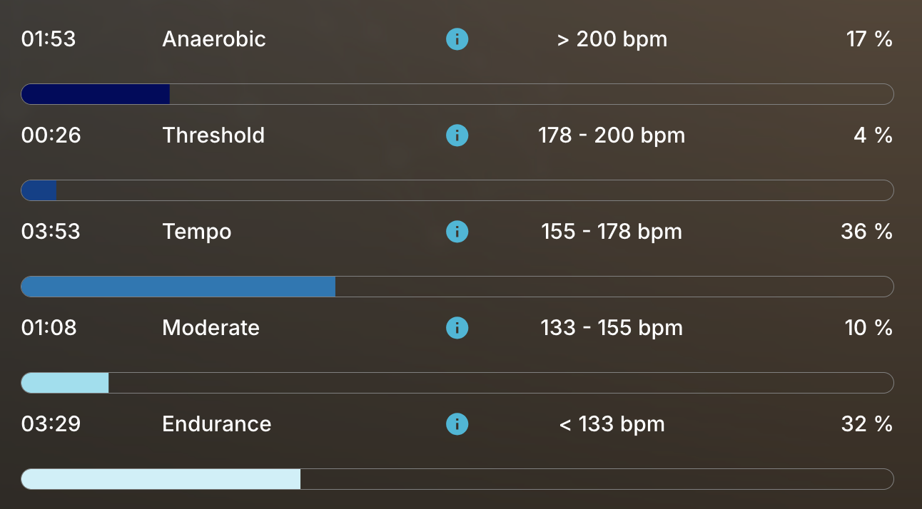 Effort zones of the filly before