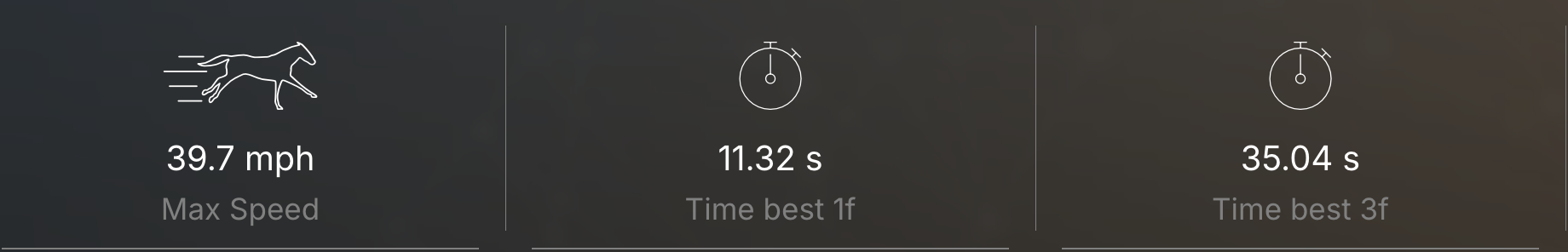 Key parameters (speed, best 1f, 3f)