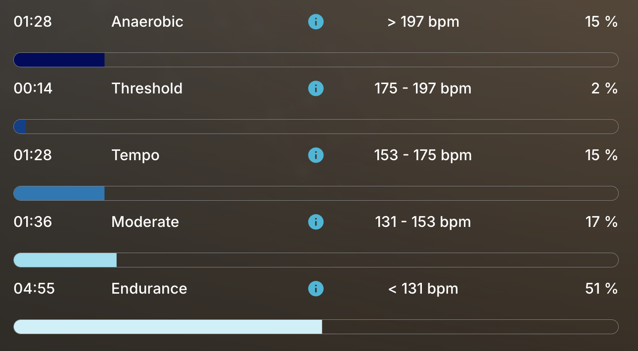 Effort zones of the filly after