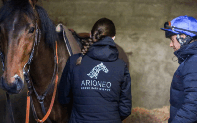 Integrating the Arioneo Equimetre Training System into your stable routine