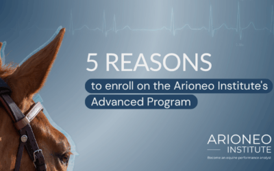 Five reasons to enroll on the Arioneo Institute’s Advanced Program