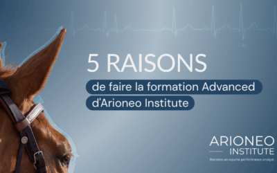 5 raisons de faire la formation Advanced d&rsquo;Arioneo Institute