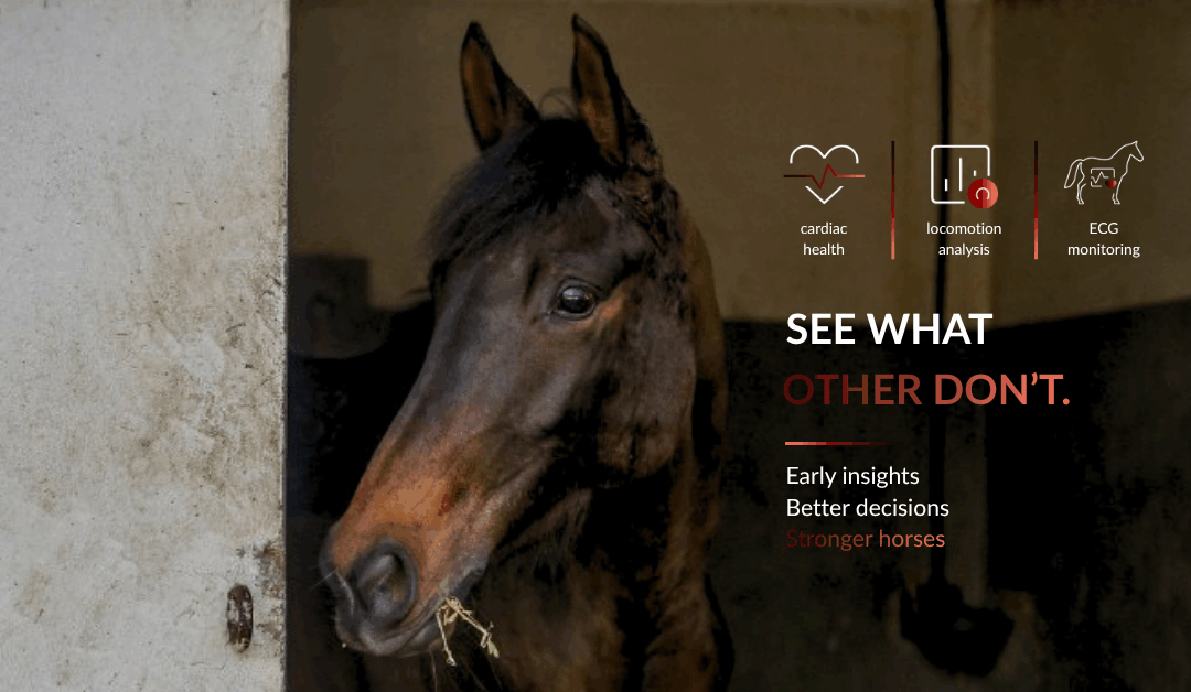 The invisible conditions of the racehorse: detecting, anticipating and monitoring with data