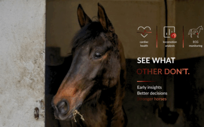 The invisible conditions of the racehorse: detecting, anticipating and monitoring with data