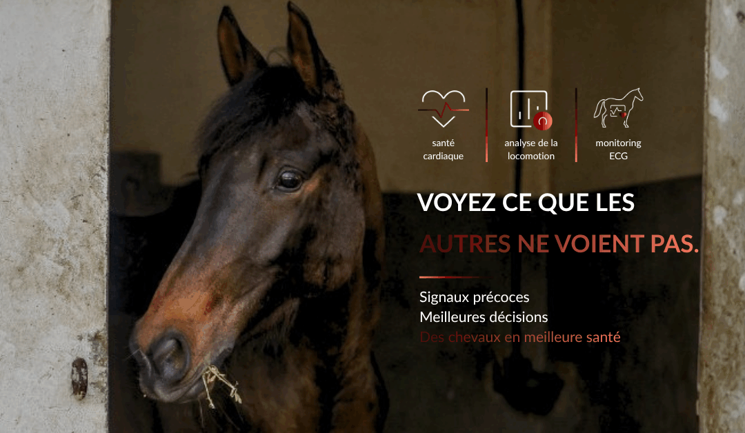 Les pathologies invisibles du cheval de course : détecter, anticiper et monitorer grâce à la data
