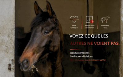 Les pathologies invisibles du cheval de course : détecter, anticiper et monitorer grâce à la data
