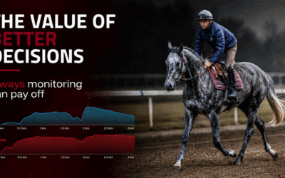 What is the return on investment of the Arioneo Equimetre Training System for a racehorse stable? 5 concrete answers